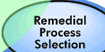 Remedial Process Selection