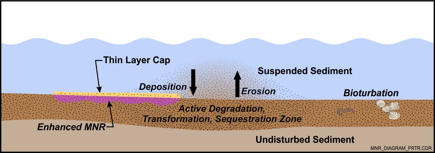 Schematic of Monitored Natural Recovery and Enhanced Monitored Natural Recovery Processes