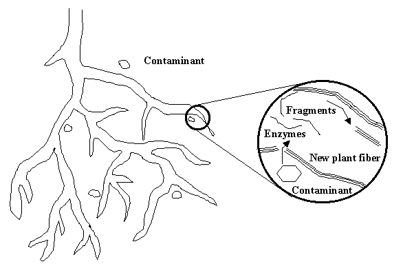 Please refer to the description on the previous page for information concerning this figure